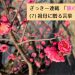 第2回採用作家ざっきーの連載 「旅の回想」(7) 祖母に贈る言葉